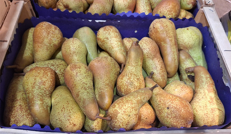 Pere Abate Fétel, Italia, cal. 70+ 2,20 euro al chilo